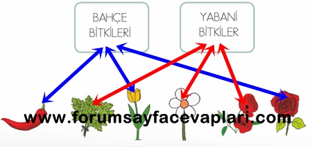 1 sinif hayat bilgisi calisma kitabi 110 111 112 sayfa cevaplari meb yayinlari forum sayfa cevaplari