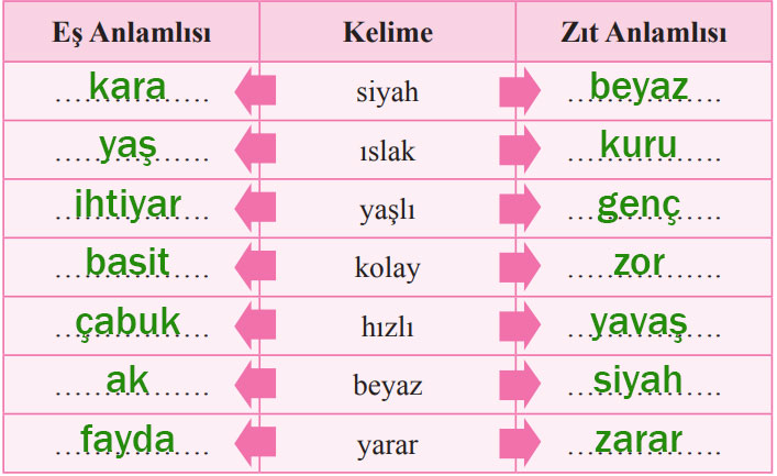 2. Sınıf Türkçe Ders Kitabı 114-115-116. Sayfa Cevapları Bilim ve Kültür Yayınları