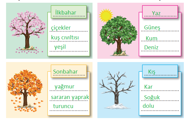 2. Sınıf Türkçe Ders Kitabı 50-53-54-55-56. Sayfa Cevapları Bilim ve Kültür Yayınları