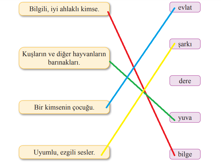 2. Sınıf Türkçe Ders Kitabı 57-61-62-63-64. Sayfa Cevapları Bilim ve Kültür Yayınları