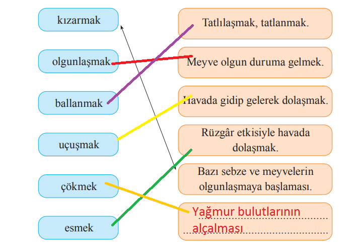 2. Sınıf Türkçe Ders Kitabı 74-75-76-77-78. Sayfa Cevapları Bilim ve Kültür Yayınları