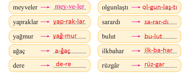 2. Sınıf Türkçe Ders Kitabı 74-75-76-77-78. Sayfa Cevapları Bilim ve Kültür Yayınları