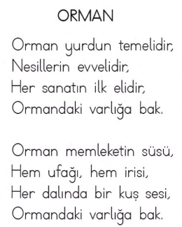 2. Sınıf Türkçe Ders Kitabı 113-115-116-117. Sayfa Cevapları MEB Yayınları