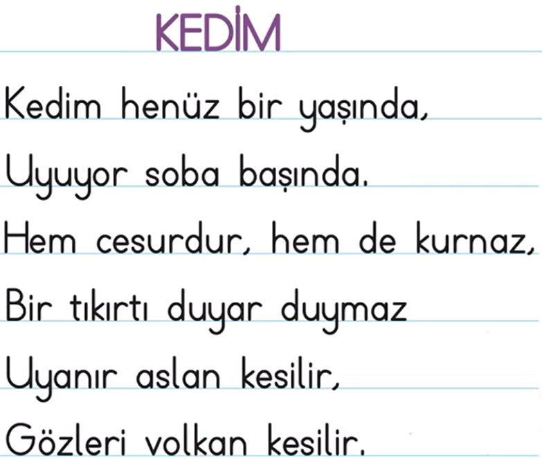 2. Sınıf Türkçe Ders Kitabı 118-119-120-121-122. Sayfa Cevapları MEB Yayınları