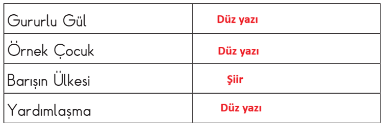 2. Sınıf Türkçe Ders Kitabı 44-45-46-47. Sayfa Cevapları MEB Yayınları