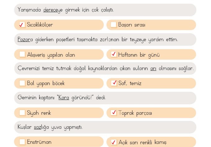 4. Sınıf Türkçe Ders Kitabı 44-46-47-48-49. Sayfa Cevapları MEB Yayınları