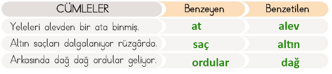 4. Sınıf Türkçe Ders Kitabı 64-65-66-67-68-69. Sayfa Cevapları MEB Yayınları