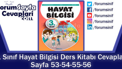 3. Sınıf Hayat Bilgisi Ders Kitabı Sayfa 53-54-55-56 Cevapları SDR İpekyolu Yayıncılık